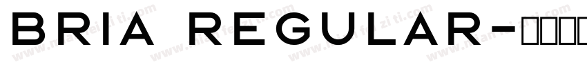 BRIA Regular字体转换